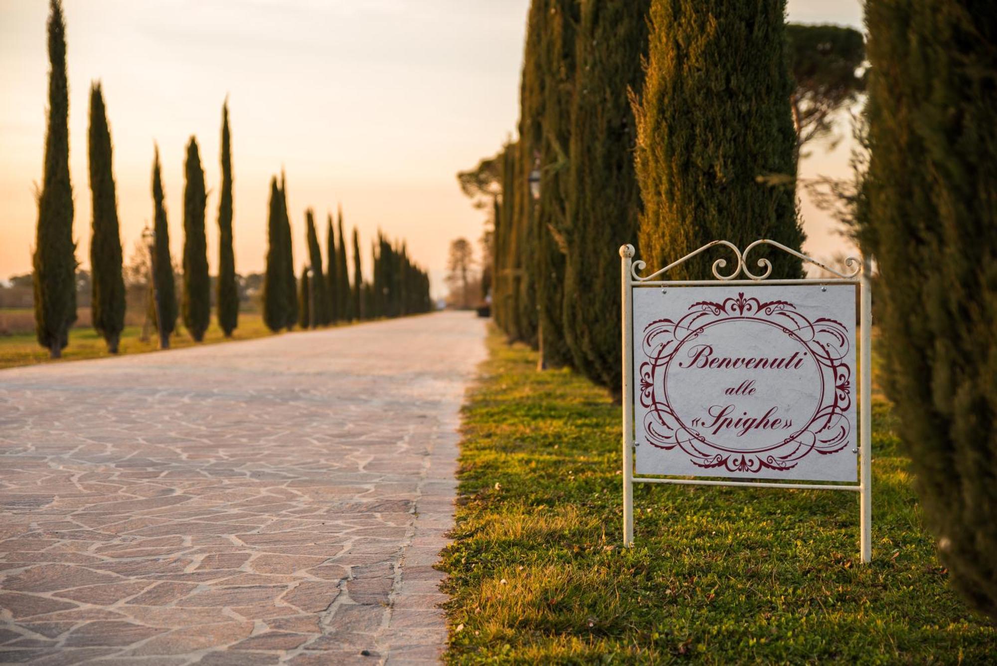 Alloggio per agriturismo La Rugea - Le Spighe